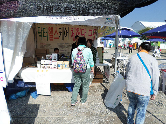 062 2017-02-19 - 3.jpg